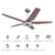 Smart Ceiling Fans