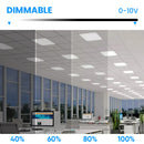 1 ft. x 4 ft. LED Flat Panel Light 20W/30W/40W Wattage Adjustable, 4000k/5000K/6500K CCT Changeable, Dip Switch, 0-10V Dim, 120-277V, ETL, DLC 5.1, Recessed Back-lit Fixture Load image into Gallery viewer, 1 ft. x 4 ft. LED Flat Panel Light 20W/30W/40W Wattage Adjustable, 4000k/5000K/6500K CCT Changeable, Dip Switch, 0-10V Dim, 120-277V, ETL, DLC 5.1, Recessed Back-lit Fixture