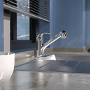 Single Handle Pull-Out Kitchen Faucet with SS deckplate in Polished Chrome Load image into Gallery viewer, Single Handle Pull-Out Kitchen Faucet with SS deckplate in Polished Chrome