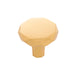 1-Pack / Brushed Golden Brass
