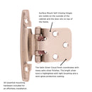 Hinge Flush Surface Face Frame Self-Close (2 Hinges/Per Pack) - Hickory Hardware Load image into Gallery viewer, Hinge Flush Surface Face Frame Self-Close (2 Hinges/Per Pack) - Hickory Hardware