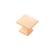 1-Pack / Brushed Golden Brass