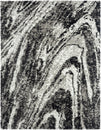 Zenith Onyx Grey Swirl 5 ft. 7 in. X 7 ft. 3 in. Area Rug Load image into Gallery viewer, Zenith Onyx Grey Swirl 5 ft. 7 in. X 7 ft. 3 in. Area Rug