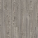 Load image into Gallery viewer, Ivanees Shaw Floorte Pro Paladin Plus 0278V-05052, Fresh Pine Floating/Glue Down SPC Flooring, 7&quot; x 48&quot; x 5mm Thickness  (18.91SQ FT/ CTN)