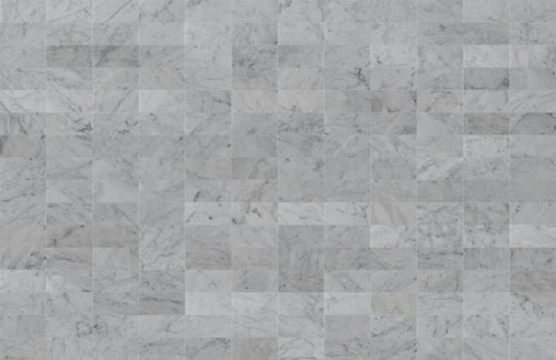 3 X 6 in. Bianco Carrara White Honed Marble Tile