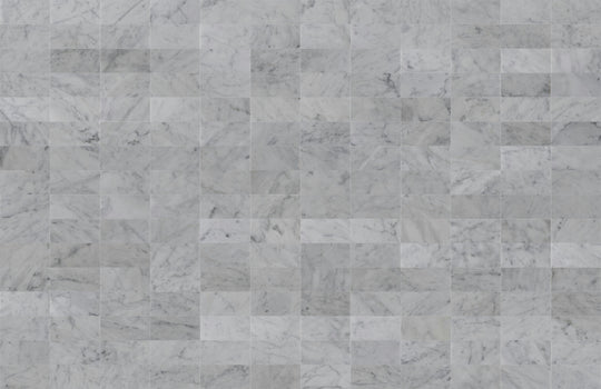3 X 6 in. Bianco Carrara White Honed Marble Tile