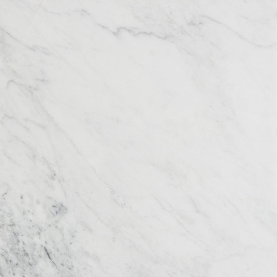 12 X 12 in. Bianco Carrara White Honed Marble Tile
