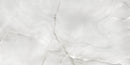 Load image into Gallery viewer, La Marca 24 x 48 in. Onyx Nuvolato Polished Rectified Glazed Porcelain Wall Tile (2)