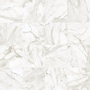 Load image into Gallery viewer, 32 x 32 in. La Marca Calacatta Paonazzo Polished Rectified Glazed Porcelain Wall Tile