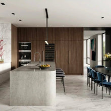 Load image into Gallery viewer, 12 x 24 in. Plata Statuario Brina Matte Rectified Glazed Porcelain wall Tile