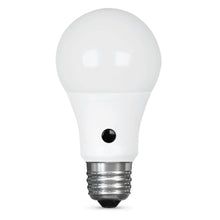 Load image into Gallery viewer, A19 ED Light Bulbs, 60W, E26, Daylight Dusk-to-Dawn, Non-Dimmable