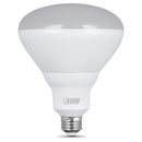 Load image into Gallery viewer, BR40 LED Light Bulbs, 13 Watts, E26, Frosted, 850 Lumen, Dimmable 2 Pack