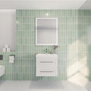 Load image into Gallery viewer, Eastpark Floating / Wall Mounted with Acrylic Sink