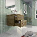 Load image into Gallery viewer, Eastpark Floating / Wall Mounted with Acrylic Sink