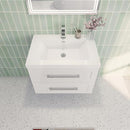 Load image into Gallery viewer, Eastpark Floating / Wall Mounted with Acrylic Sink