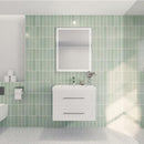 Load image into Gallery viewer, Eastpark Floating / Wall Mounted with Acrylic Sink