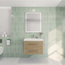 Load image into Gallery viewer, Eastpark Floating / Wall Mounted with Acrylic Sink