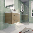 Load image into Gallery viewer, Eastpark Floating / Wall Mounted with Acrylic Sink