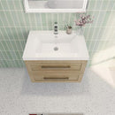 Load image into Gallery viewer, Eastpark Floating / Wall Mounted with Acrylic Sink