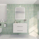 Load image into Gallery viewer, Eastpark Floating / Wall Mounted with Acrylic Sink