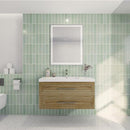 Load image into Gallery viewer, Eastpark Floating / Wall Mounted with Acrylic Sink