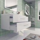 Load image into Gallery viewer, Eastpark Floating / Wall Mounted with Acrylic Sink