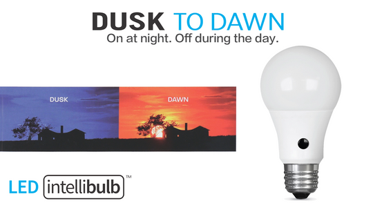 A19 ED Light Bulbs, 60W, E26, Daylight Dusk-to-Dawn, Non-Dimmable