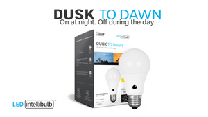 A19 ED Light Bulbs, 60W, E26, Daylight Dusk-to-Dawn, Non-Dimmable