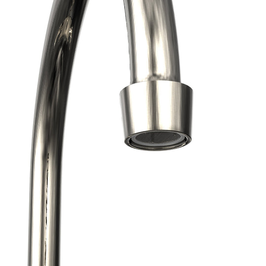 Double Handle Kitchen Faucet With Spray in Bronze