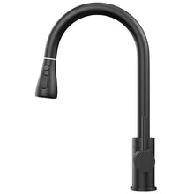 Load image into Gallery viewer, 16.92 Inches Single Handle Pull-down Sprayer Kitchen Faucet With Plate, and Brass Body