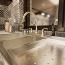 Load image into Gallery viewer, Double Handle Kitchen Faucet With Spray in Bronze