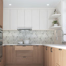 Load image into Gallery viewer, 2 in. Hexagon Bianco Carrara White Polished Marble Mosaic