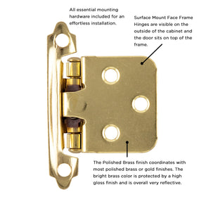 Flush Cabinet Hinges Surface Frame Self-Close (2 Hinges/Per Pack) - Hickory Hardware