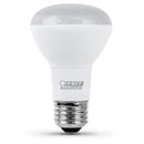 Load image into Gallery viewer, R20 LED Light Bulb, 5 Watts, E26, Dimmable Reflector, 450 lumens, Soft White, Track &amp; Recessed Lighting