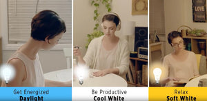 A19 LED Lights Bulbs, 60, E26, IntelliBulb Color Choice, 3 color temperatures