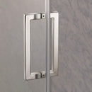 Load image into Gallery viewer, Semi - Frameless Shower Door - Pivot Door And Panel - Marina