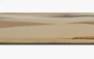Contempo-45 Area Rugs Rectangle Latte 5-X-7