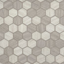 Load image into Gallery viewer, 2&quot; X 2&quot; Hexagon Silva Oak Light Gray Glass Mosaic Tile (14.7SQ FT/CTN)