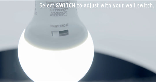 A19 LED Lights Bulbs, 60, E26, IntelliBulb Color Choice, 3 color temperatures